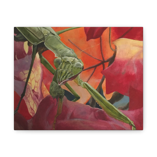 Mantis - Canvas Gallery Wraps